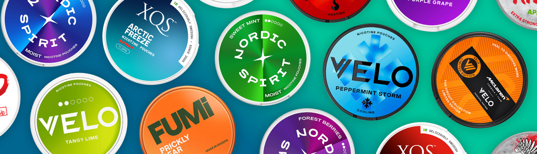 Best Nicotine Pouch Flavours to Try in 2026