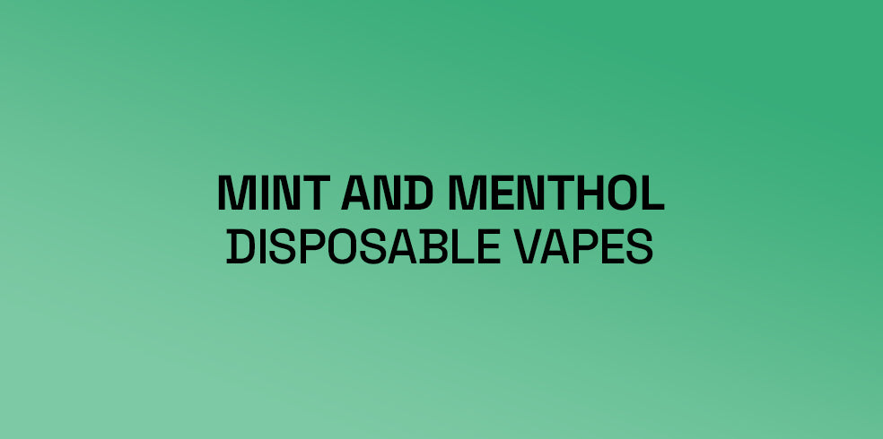 Mint and Menthol Flavoured Disposable Vapes