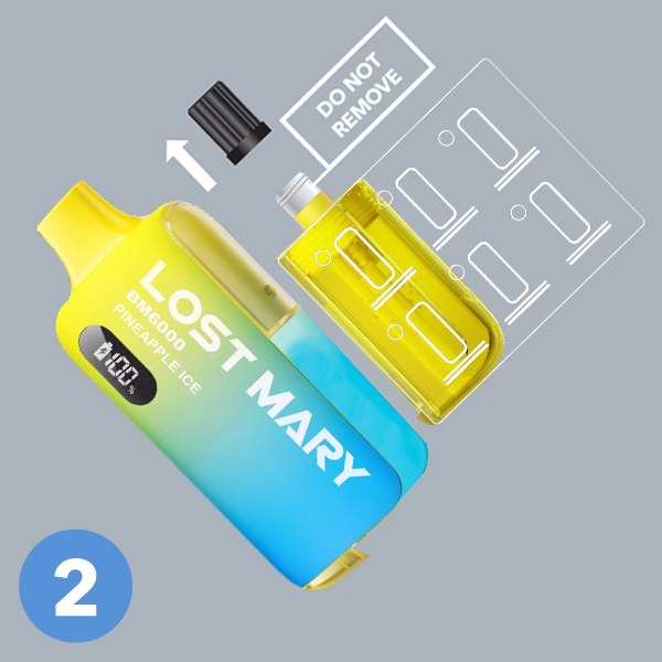 Lost Mary BM6000 How To Use