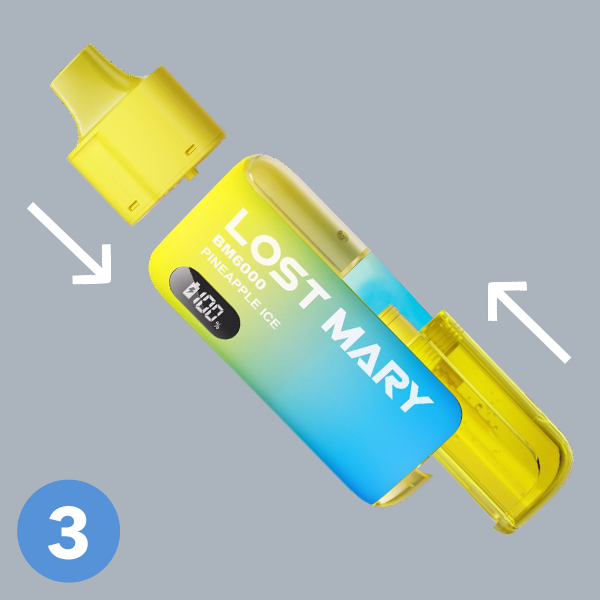 Lost Mary BM6000 How To Use
