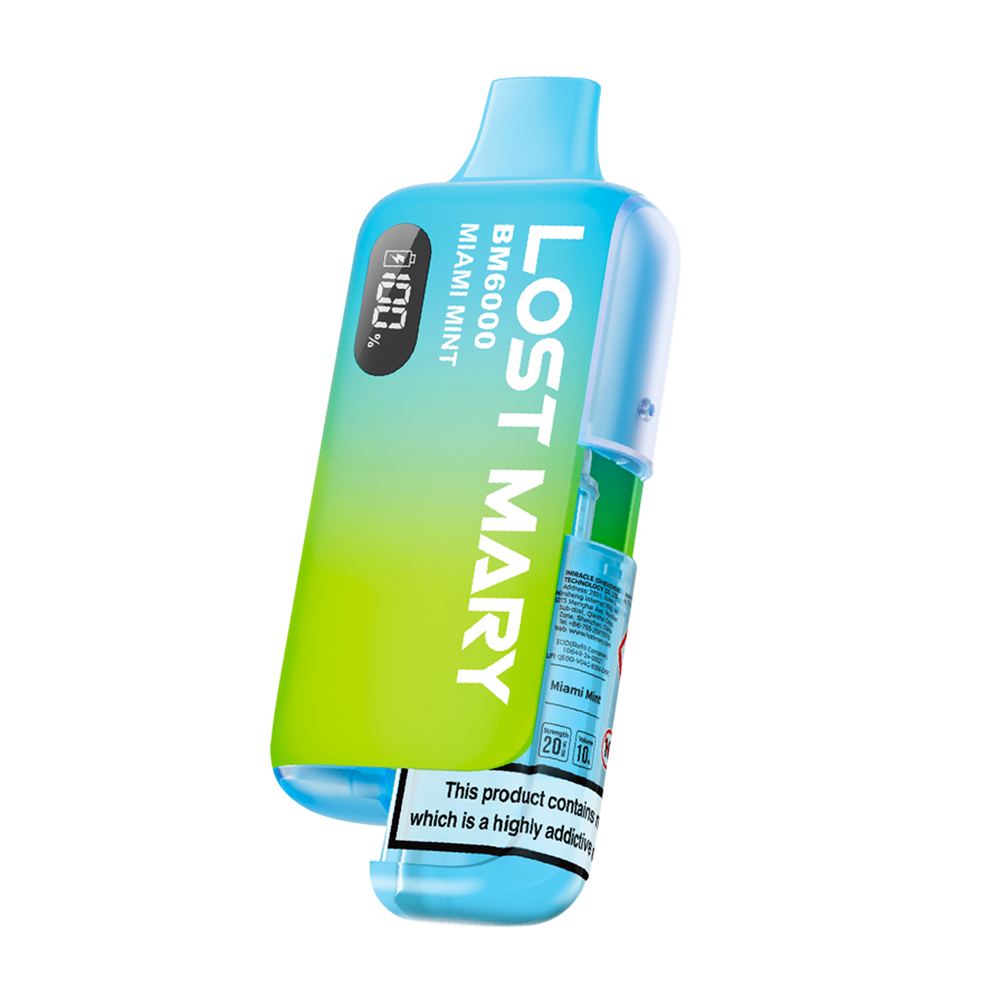 Lost Mary BM6000 Vape Kit miami mint