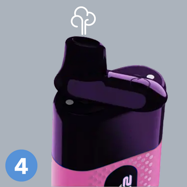 step 4 Pixl Duo 12